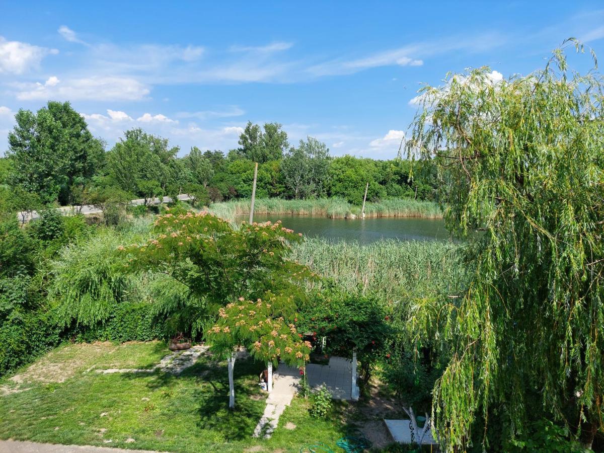 Vila De Pe Lac 아마라 외부 사진